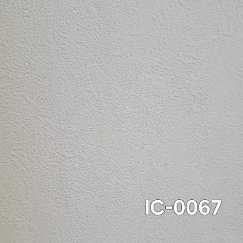 IC-0067