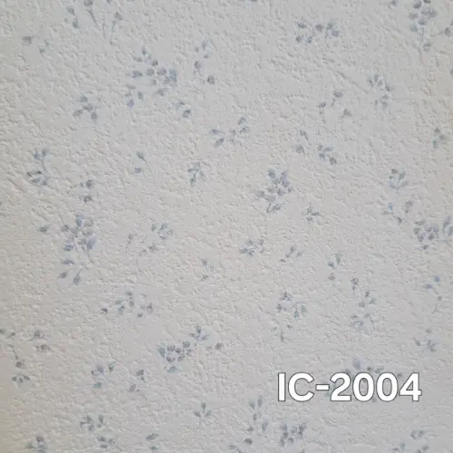 IC-2004