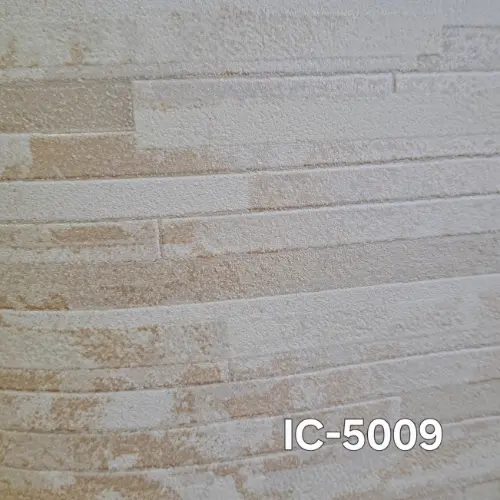 IC-5009